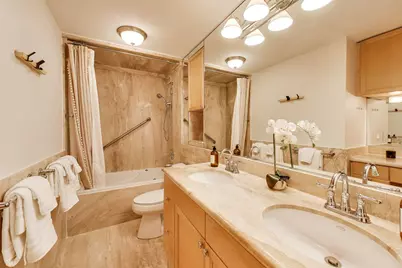 201 E Chestnut Street #3A, Chicago, IL 60611 - Photo 5