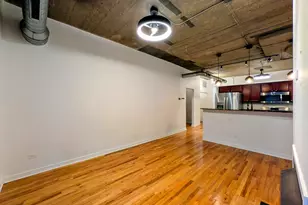 1033 W 14th Pl, Chicago, IL 60608 - Photo 9