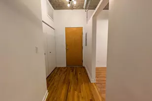 1033 W 14th Pl, Chicago, IL 60608 - Photo 5