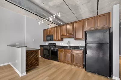 1550 S Blue Island Avenue #420, Chicago, IL 60608 - Photo 9