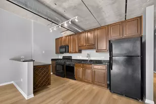 1550 S Blue Island Ave, Chicago, IL 60608 - Photo 9