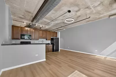 1550 S Blue Island Avenue #420, Chicago, IL 60608 - Photo 7