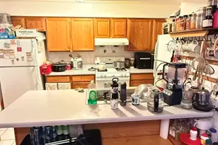 3200 S Throop St, Chicago, IL 60608 - Photo 5