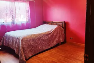 11532 S Ave G, Chicago, IL 60617 - Photo 19