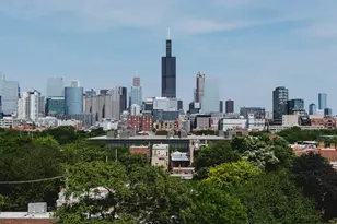 224 S Ashland Ave, Chicago, IL 60607 - Photo 15