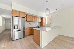 1118 W 19th St, Chicago, IL 60608 - Photo 39