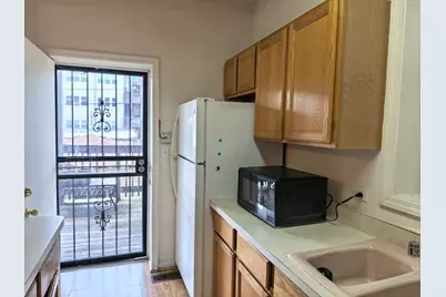 651 E 50th Place #1W, Chicago, IL 60615 - Photo 9