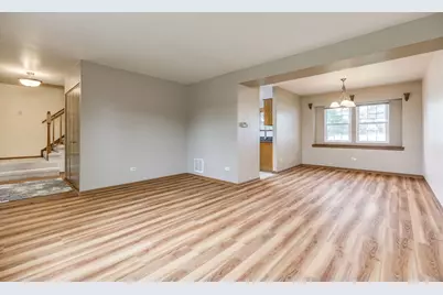 19665 S Arran Drive, Frankfort, IL 60423 - Photo 3