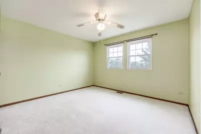 19665 S Arran Drive, Frankfort, IL 60423 - Photo 15