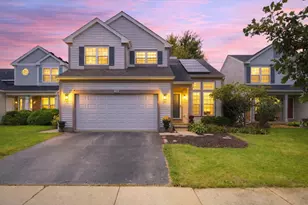 135 Celebration Ct, Hainesville, IL 60073 - Photo 1