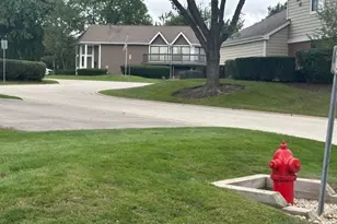 109 Sussex Cir, Schaumburg, IL 60193 - Photo 23