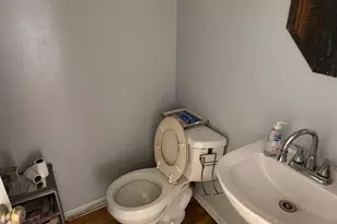 21635 Dogwood Rd, Matteson, IL 60443 - Photo 23