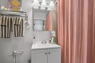 21 W Goethe Street #8H, Chicago, IL 60610 - Photo 11
