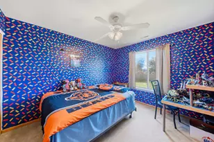 3607 Hoffman St, Plano, IL 60545 - Photo 23