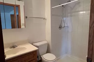 8659 Meade Ave, Burbank, IL 60459 - Photo 13