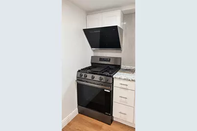 4559 S California Avenue, Chicago, IL 60632 - Photo 11