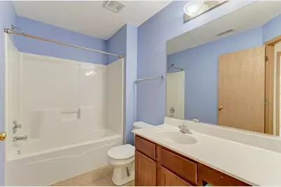 321 Grape Vine Trail, Oswego, IL 60543 - Photo 29