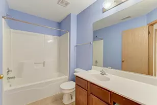 321 Grape Vine Trail, Oswego, IL 60543 - Photo 29