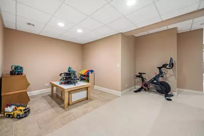 420 N Lincoln Street, Hinsdale, IL 60521 - Photo 39