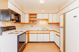255 W Walnut Ave, Des Plaines, IL 60016 - Photo 11