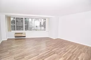 211 E Ohio St, Chicago, IL 60611 - Photo 11