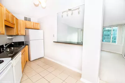 211 E Ohio Street #2515, Chicago, IL 60611 - Photo 9