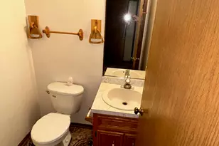 715 Wright Rd, University Park, IL 60484 - Photo 11