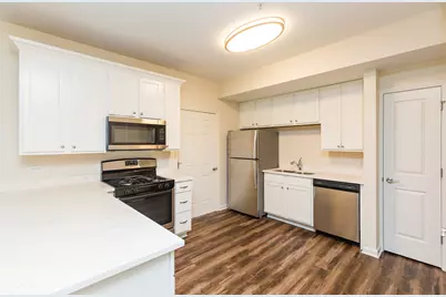 60 W Main Street #331, Lake Zurich, IL 60047 - Photo 5