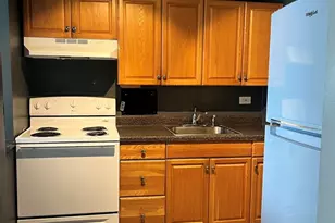 7337 S South Shore Dr, Chicago, IL 60649 - Photo 13
