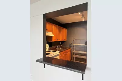 7337 S South Shore Drive #1209, Chicago, IL 60649 - Photo 7