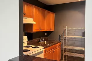7337 S South Shore Dr, Chicago, IL 60649 - Photo 7