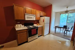 6 Grandview Ct, Algonquin, IL 60102 - Photo 9