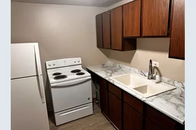 114 N Washington Avenue #114-2, Bradley, IL 60915 - Photo 3
