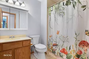 1132 Wishing Well Ln, Naperville, IL 60564 - Photo 13