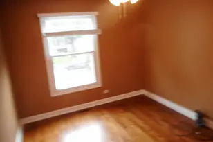 207 Downing Dr, Bloomingdale, IL 60108 - Photo 13