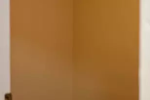 6110 S Kimbark Ave, Chicago, IL 60637 - Photo 23