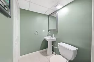 10 Americana Ct, Roselle, IL 60172 - Photo 35