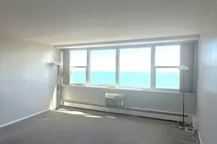 1150 N Lake Shore Dr, Chicago, IL 60611 - Photo 5