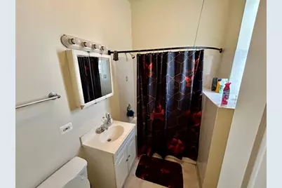 1239 S Avers Avenue, Chicago, IL 60623 - Photo 9