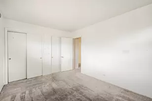 918 S Owen St, Mount Prospect, IL 60056 - Photo 15