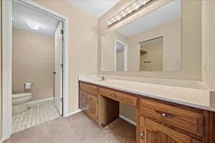 9810 Mill Dr W, Palos Park, IL 60464 - Photo 13