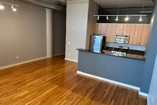 1224 W Van Buren St, Chicago, IL 60607 - Photo 3