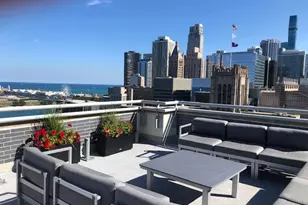 222 E Pearson St, Chicago, IL 60611 - Photo 13