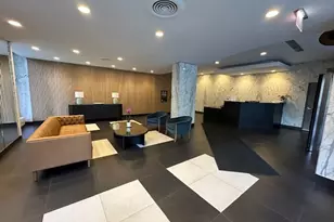 222 E Pearson St, Chicago, IL 60611 - Photo 3