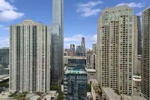 2 E Erie St, Chicago, IL 60611 - Photo 21