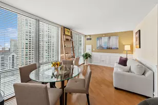 2 E Erie St, Chicago, IL 60611 - Photo 11