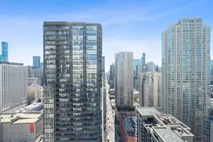 2 E Erie St, Chicago, IL 60611 - Photo 25