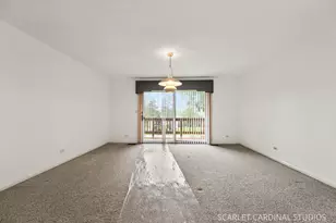 27200 W Lakeview Dr South Dr, Lake Barrington, IL 60084 - Photo 19