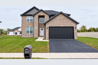 20925 Dexter Street, Lynwood, IL 60411 - Photo 1