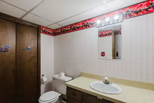113 Diane Dr, Lexington, IL 61753 - Photo 33